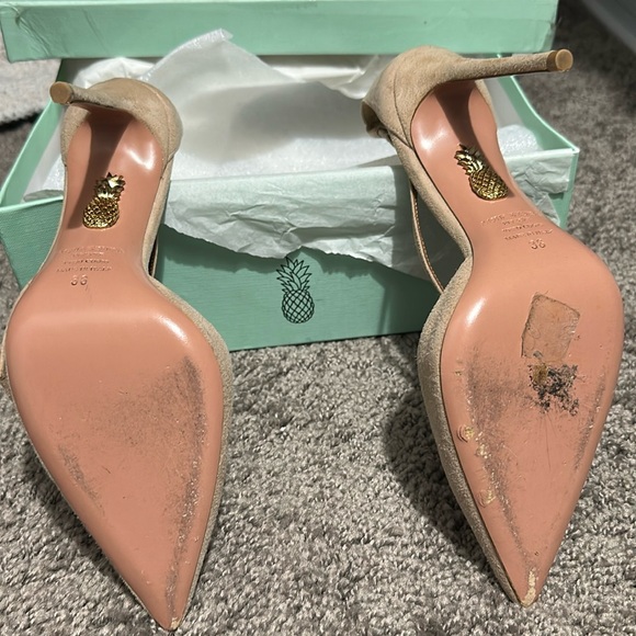 Aquazzura PARISIENNE BOW SUEDE PUMPS - Picture 14 of 15